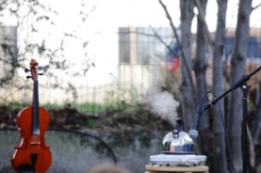 The toi 30 * 5616 x 3744 * (5.46MB)